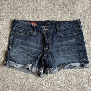 Jcrew Women's Jean Shorts